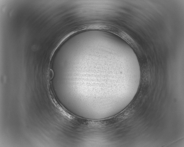 X0000072530852200607290222