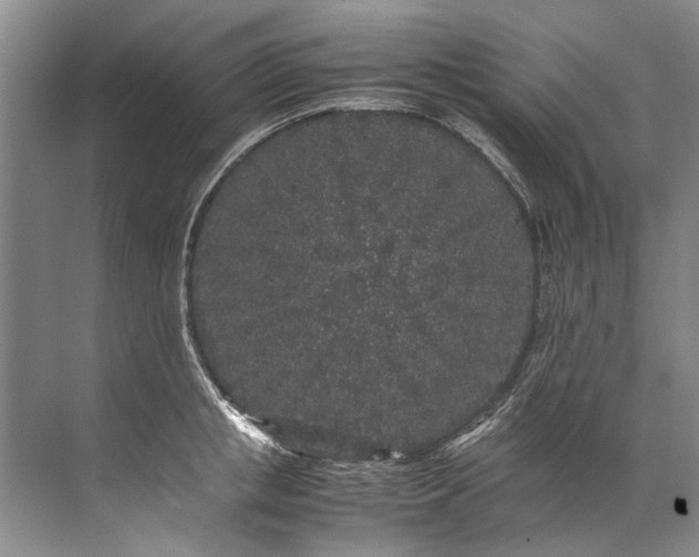 X0000072530853200607290222