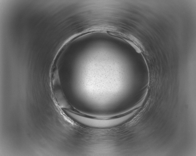 X0000072530854200607290222