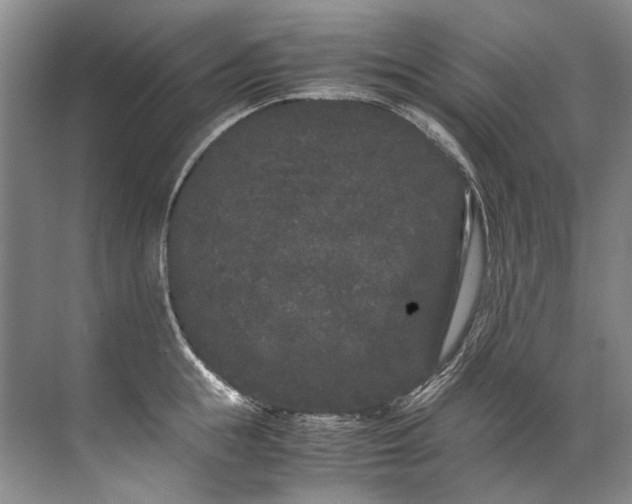 X0000072530855200607290222