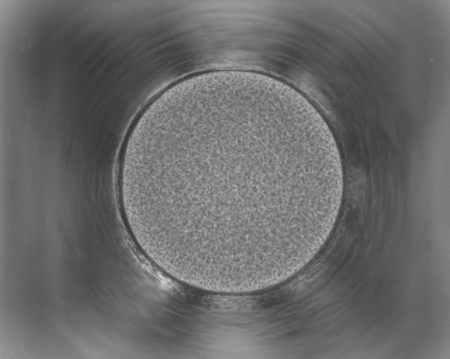 X0000072530856200607290222