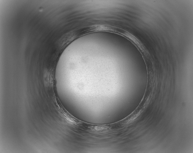 X0000072530857200607290222