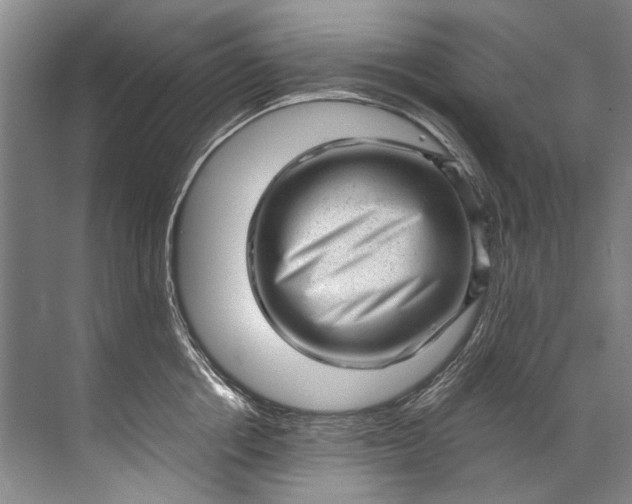 X0000072530858200607290222