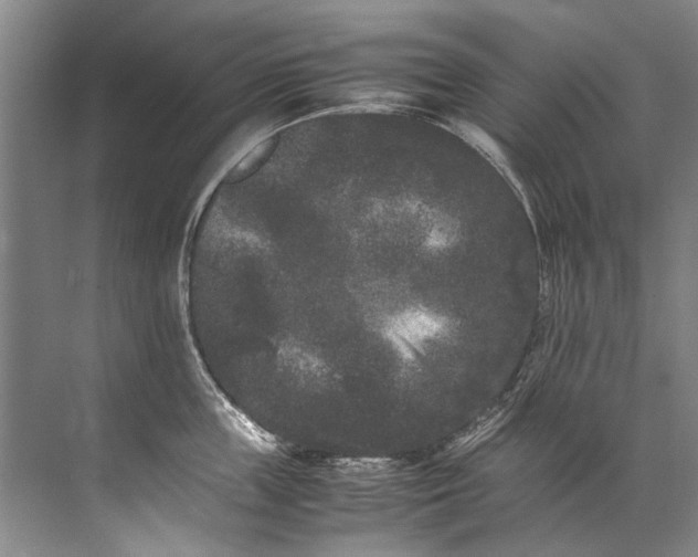 X0000072530859200607290222