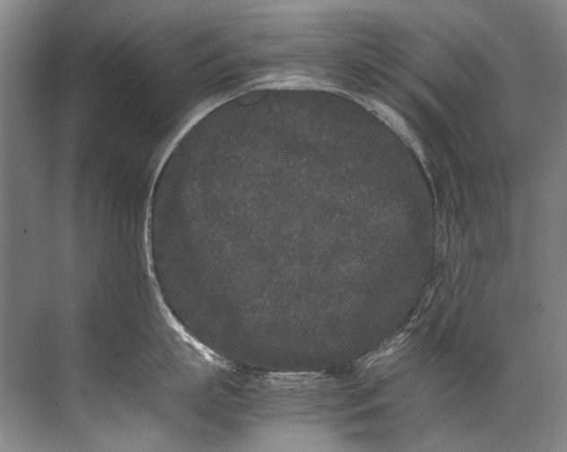 X0000072530863200607290222