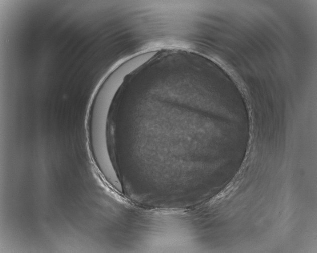 X0000072530864200607290222