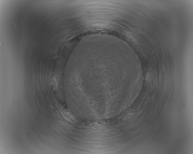 X0000072530868200607290222