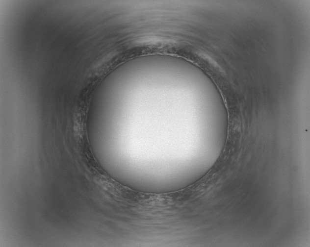 X0000072530869200607290222