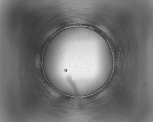 X0000072530873200607290221