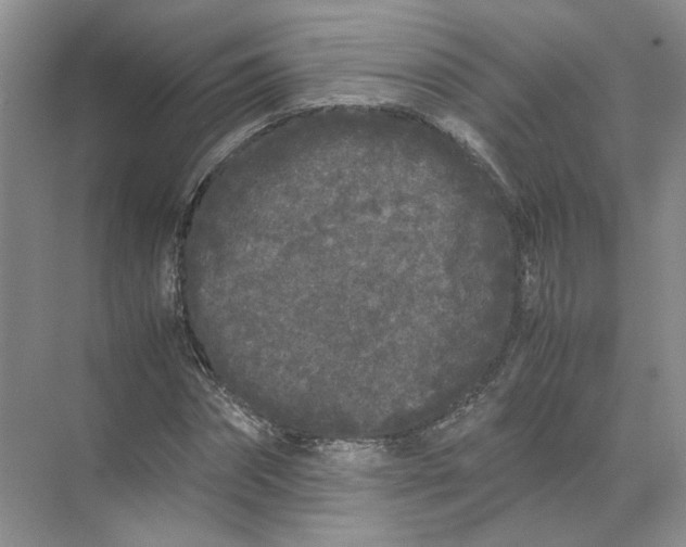 X0000072530874200607290221