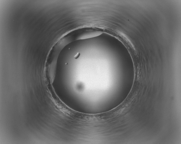 X0000072530876200607290221