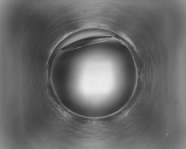 X0000072530877200607290221