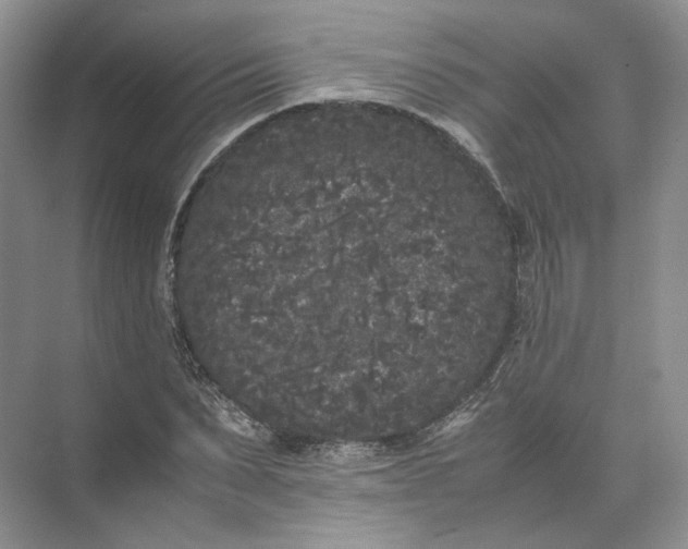 X0000072530879200607290221