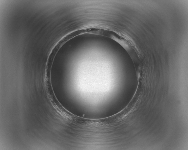 X0000072530880200607290221