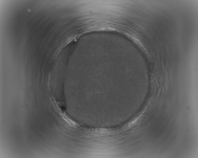 X0000072530881200607290221