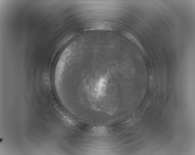 X0000072530882200607290221