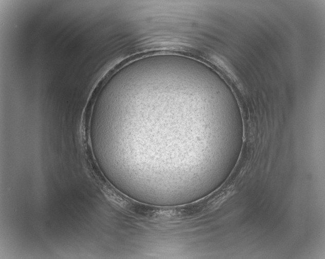 X0000072530883200607290221