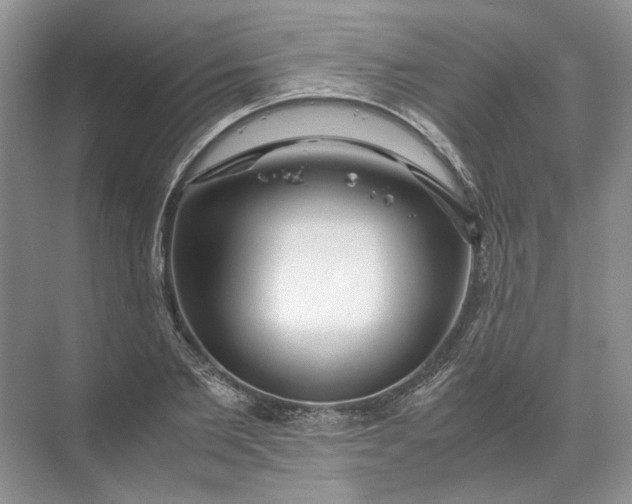 X0000072530885200607290221