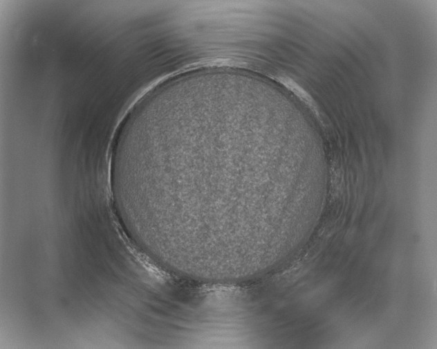 X0000072530886200607290221