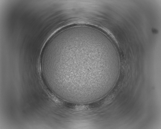 X0000072530887200607290221