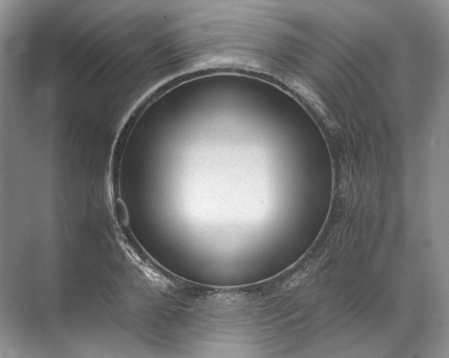 X0000072530888200607290221