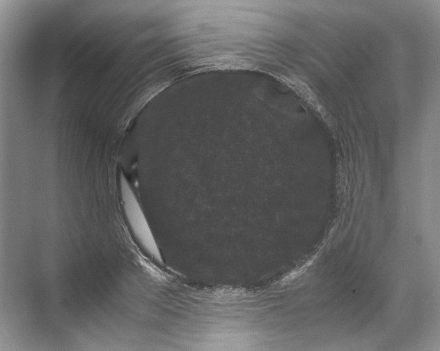 X0000072530889200607290221