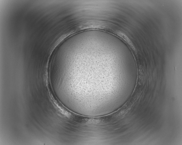 X0000072530890200607290221