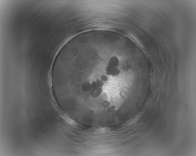 X0000072530891200607290221