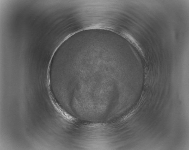 X0000072530892200607290221