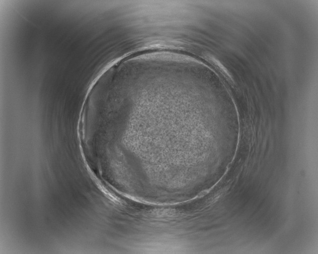 X0000072530893200607290221