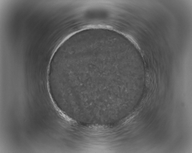 X0000072530895200607290221