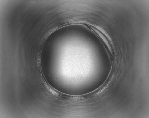 X0000072530897200607290221