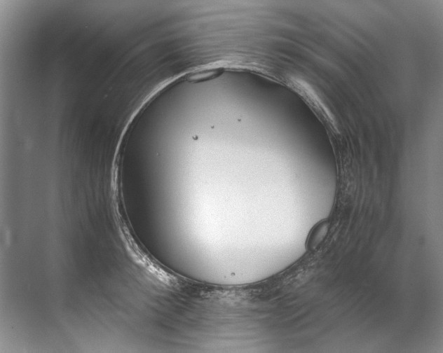 X0000072530900200607290221