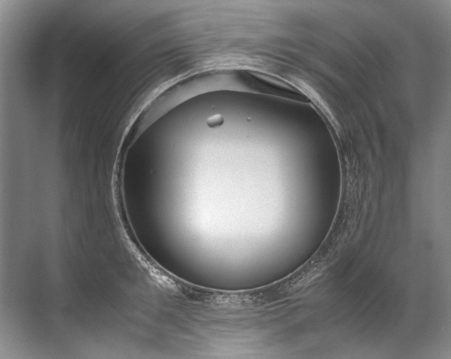 X0000072530901200607290221