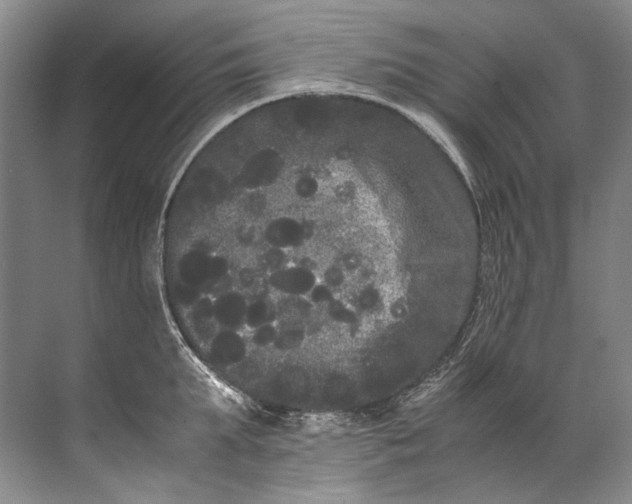 X0000072530903200607290221