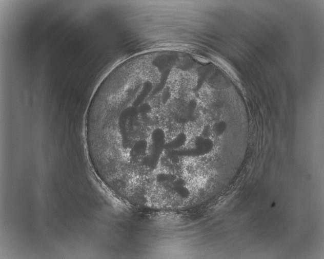 X0000072530907200607290221