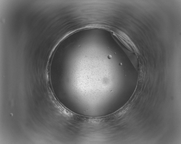 X0000072530908200607290221