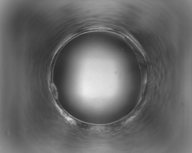 X0000072530909200607290221