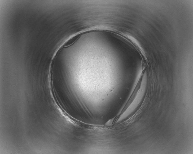 X0000072530910200607290221