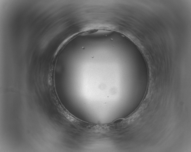 X0000072530912200607290221