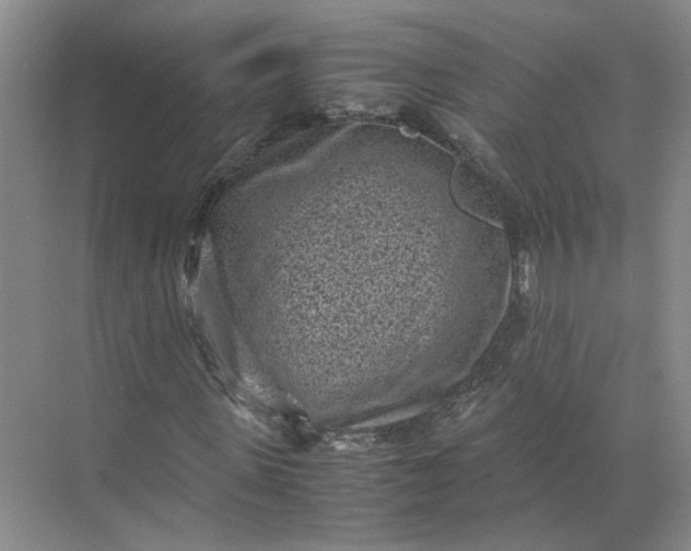 X0000072530915200607290220