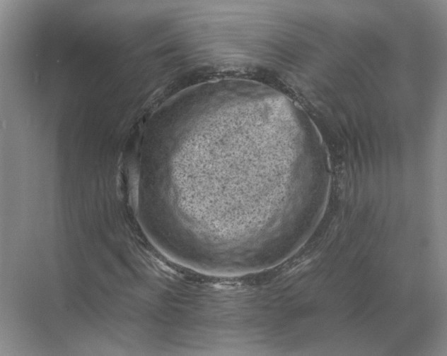 X0000072530916200607290220