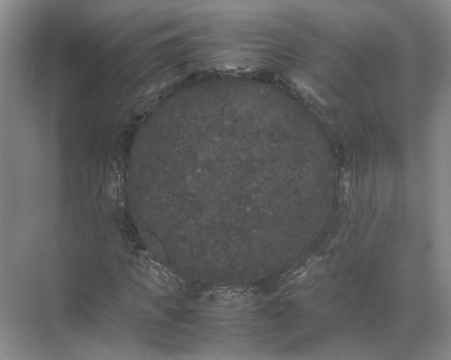 X0000072530917200607290220