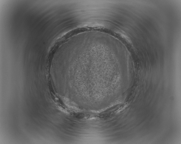 X0000072530920200607290220