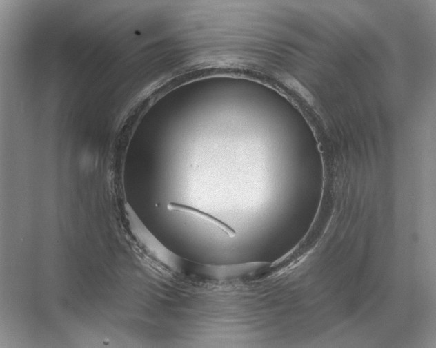 X0000072530922200607290220