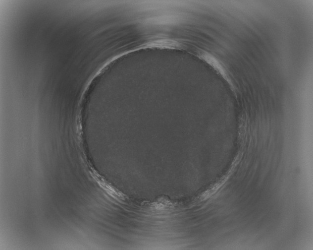 X0000072530923200607290220