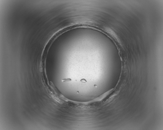 X0000072530924200607290220