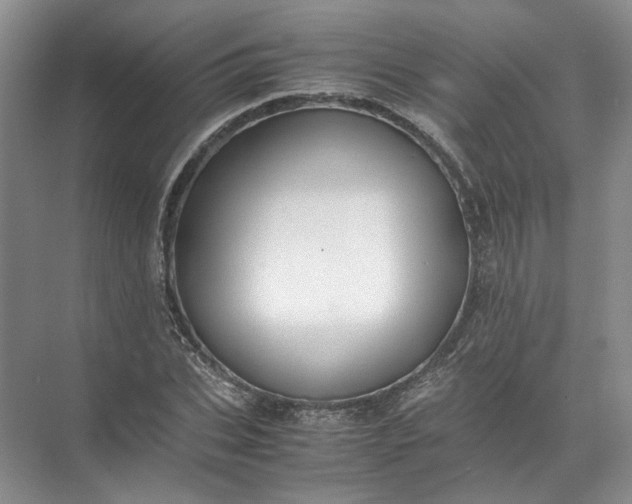 X0000072530927200607290220