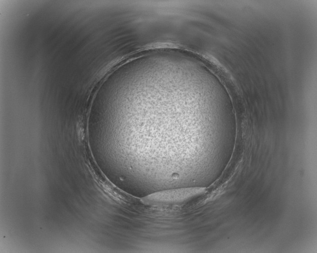 X0000072530929200607290220