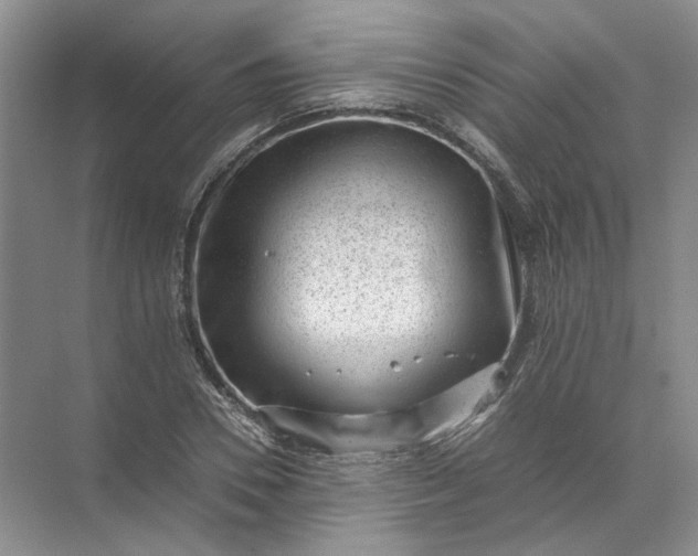 X0000072530930200607290220